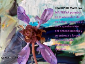 oracion-de-maitreya-00